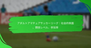 アダルトアマチュアサッカーリーグ：社会的側面、競技レベル、参加率