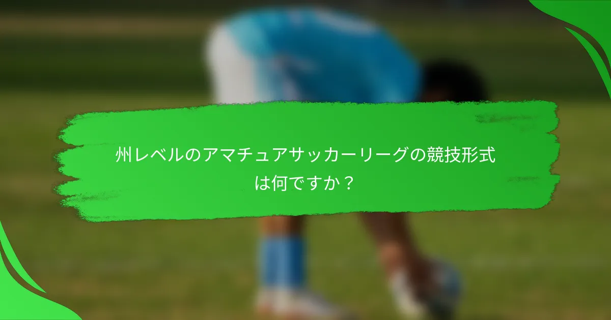 州レベルのアマチュアサッカーリーグの競技形式は何ですか?